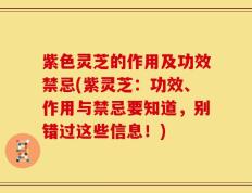 紫色灵芝的作用及功效禁忌(紫灵芝：功效、作用与禁忌要知道，别错过这些信息！)