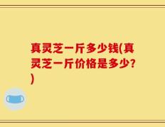 真灵芝一斤多少钱(真灵芝一斤价格是多少？)