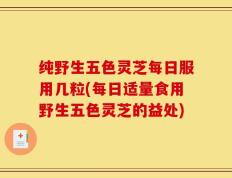 纯野生五色灵芝每日服用几粒(每日适量食用野生五色灵芝的益处)