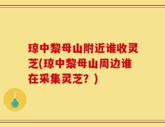 琼中黎母山附近谁收灵芝(琼中黎母山周边谁在采集灵芝？)