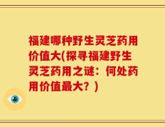 福建哪种野生灵芝药用价值大(探寻福建野生灵芝药用之谜：何处药用价值最大？)