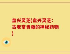 盘兴灵芝(盘兴灵芝：古老常青藤的神秘药物)