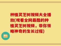 种植灵芝树视频大全播放(观看全网最酷的种植灵芝树视频，带你领略神奇的生长过程)