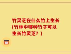 竹灵芝在什么竹上生长(竹林中哪种竹子可以生长竹灵芝？)