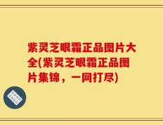 紫灵芝眼霜正品图片大全(紫灵芝眼霜正品图片集锦，一网打尽)