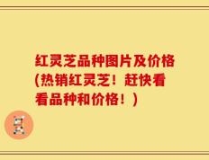 红灵芝品种图片及价格(热销红灵芝！赶快看看品种和价格！)