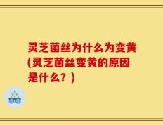 灵芝菌丝为什么为变黄(灵芝菌丝变黄的原因是什么？)