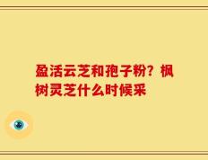 盈活云芝和孢子粉？枫树灵芝什么时候采