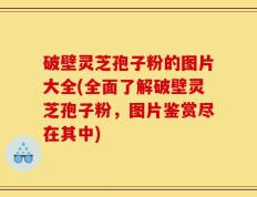 破壁灵芝孢子粉的图片大全(全面了解破壁灵芝孢子粉，图片鉴赏尽在其中)