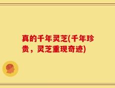 真的千年灵芝(千年珍贵，灵芝重现奇迹)