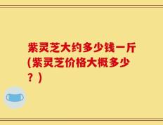 紫灵芝大约多少钱一斤(紫灵芝价格大概多少？)