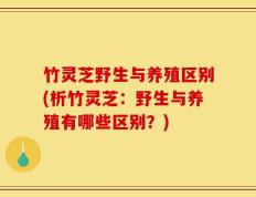 竹灵芝野生与养殖区别(析竹灵芝：野生与养殖有哪些区别？)