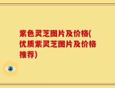 紫色灵芝图片及价格(优质紫灵芝图片及价格推荐)