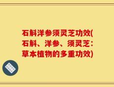 石斛洋参须灵芝功效(石斛、洋参、须灵芝：草本植物的多重功效)