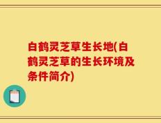白鹤灵芝草生长地(白鹤灵芝草的生长环境及条件简介)
