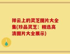 祥云上的灵芝图片大全集(珍品灵芝：精选高清图片大全展示)