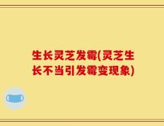 生长灵芝发霉(灵芝生长不当引发霉变现象)