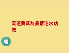 灵芝黄芪加桑葚泡水功效
