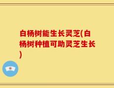 白杨树能生长灵芝(白杨树种植可助灵芝生长)
