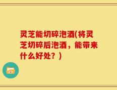 灵芝能切碎泡酒(将灵芝切碎后泡酒，能带来什么好处？)