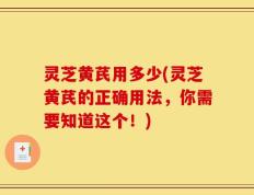 灵芝黄芪用多少(灵芝黄芪的正确用法，你需要知道这个！)