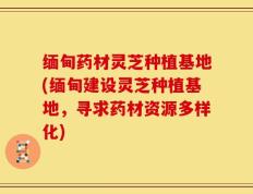 缅甸药材灵芝种植基地(缅甸建设灵芝种植基地，寻求药材资源多样化)