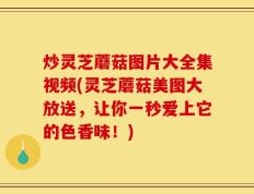 炒灵芝蘑菇图片大全集视频(灵芝蘑菇美图大放送，让你一秒爱上它的色香味！)