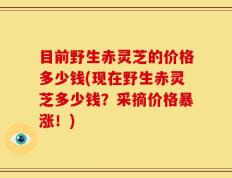 目前野生赤灵芝的价格多少钱(现在野生赤灵芝多少钱？采摘价格暴涨！)