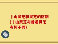 矷山灵芝和灵芝的区别(矷山灵芝与普通灵芝有何不同)