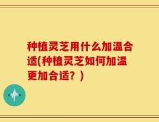 种植灵芝用什么加温合适(种植灵芝如何加温更加合适？)