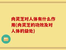 肉灵芝对人体有什么作用(肉灵芝的功效及对人体的益处)