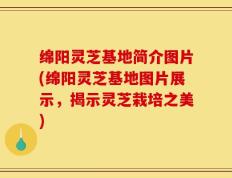 绵阳灵芝基地简介图片(绵阳灵芝基地图片展示，揭示灵芝栽培之美)