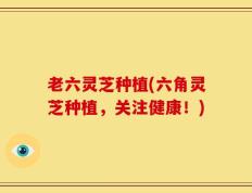 老六灵芝种植(六角灵芝种植，关注健康！)