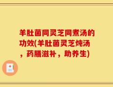 羊肚菌同灵芝同煮汤的功效(羊肚菌灵芝炖汤，药膳滋补，助养生)
