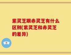 紫灵芝跟赤灵芝有什么区别(紫灵芝和赤灵芝的差异)
