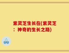 紫灵芝生长在(紫灵芝：神奇的生长之路)