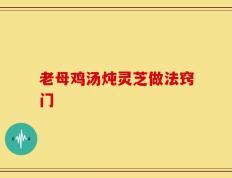 老母鸡汤炖灵芝做法窍门