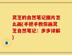 灵芝的自然笔记图片怎么画(手把手教你画灵芝自然笔记：步步详解)