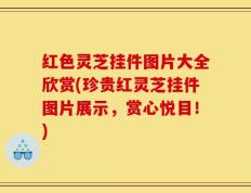 红色灵芝挂件图片大全欣赏(珍贵红灵芝挂件图片展示，赏心悦目！)