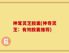 神茸灵芝胶囊(神奇灵芝：有效胶囊推荐)
