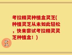 考拉精灵种植盒灵芝(种植灵芝从未如此轻松，快来尝试考拉精灵灵芝种植盒！)