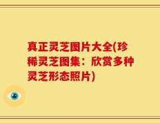 真正灵芝图片大全(珍稀灵芝图集：欣赏多种灵芝形态照片)