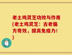 老土鸡灵芝功效与作用(老土鸡灵芝：古老偏方奇效，提高免疫力！)