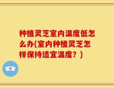 种植灵芝室内温度低怎么办(室内种植灵芝怎样保持适宜温度？)