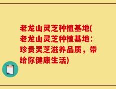 老龙山灵芝种植基地(老龙山灵芝种植基地：珍贵灵芝滋养品质，带给你健康生活)