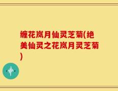 缠花岚月仙灵芝菊(绝美仙灵之花岚月灵芝菊)