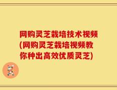 网购灵芝栽培技术视频(网购灵芝栽培视频教你种出高效优质灵芝)