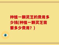 种植一颗灵芝的费用多少钱(种植一颗灵芝需要多少费用？)