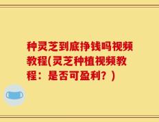 种灵芝到底挣钱吗视频教程(灵芝种植视频教程：是否可盈利？)