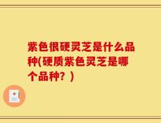 紫色很硬灵芝是什么品种(硬质紫色灵芝是哪个品种？)